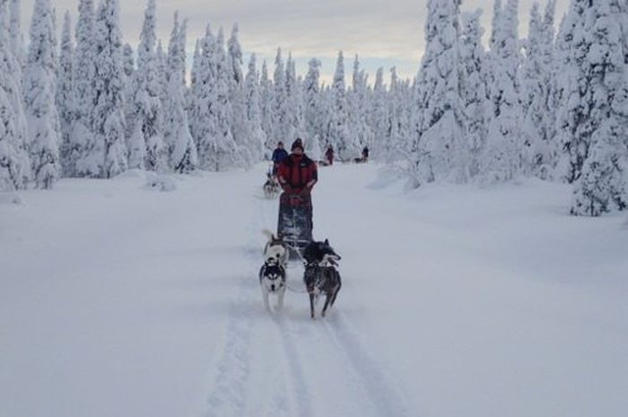 Aventures hivernales au cœur de la Finlande
