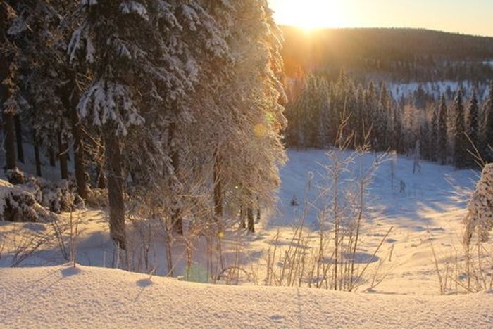 Aventures hivernales au cœur de la Finlande