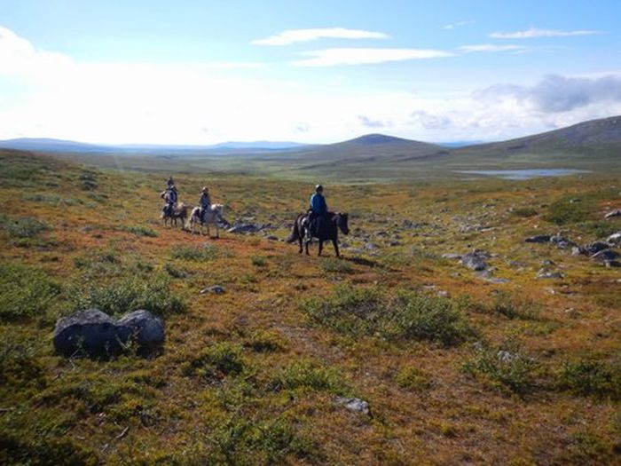 Ratekjokk Trail