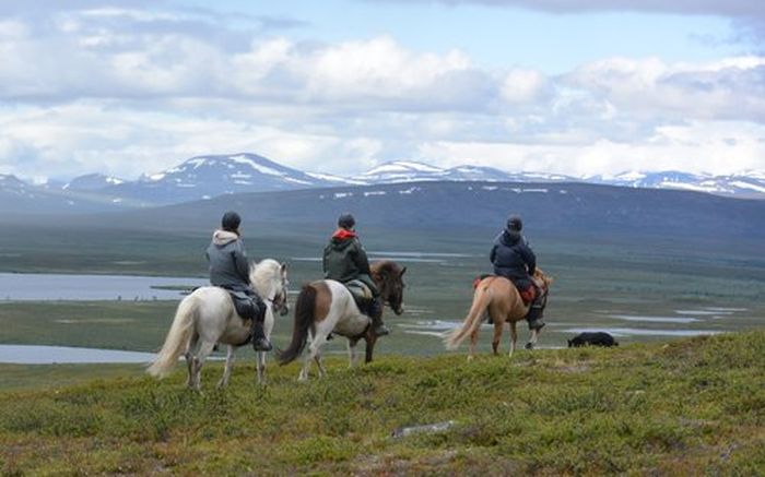 Ratekjokk Trail