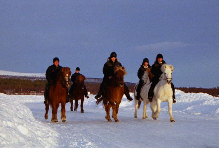 La magie des aurores bor&eacute;ales