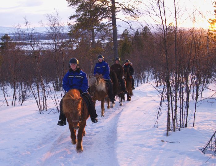 La magie des aurores bor&eacute;ales