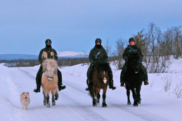 La magie des aurores bor&eacute;ales