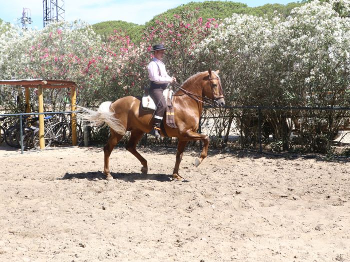 Trail de la Coto de Doñana