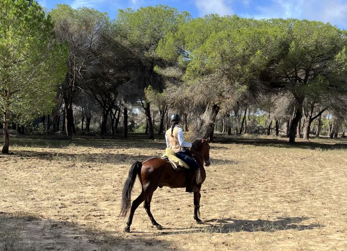 Trail de la Coto de Doñana