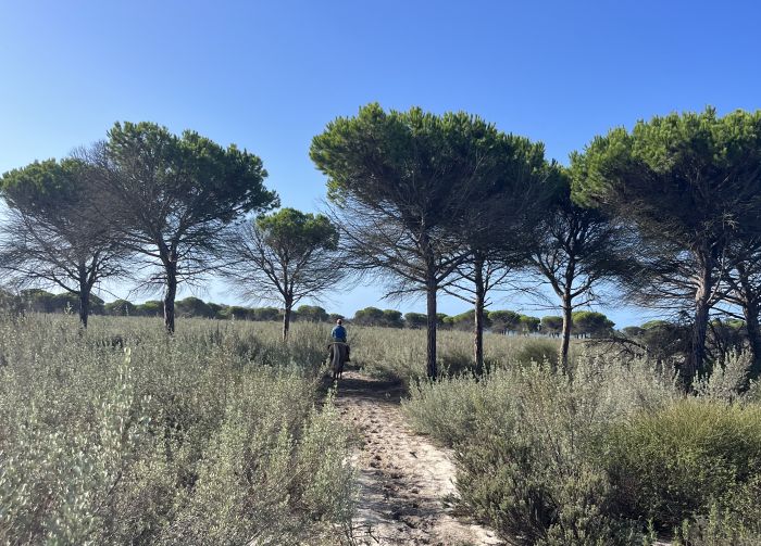 Trail de la Coto de Doñana