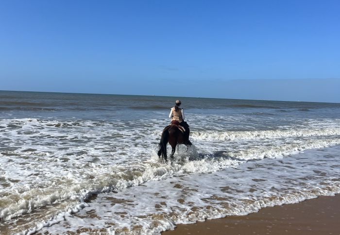 Trail de la Coto de Doñana