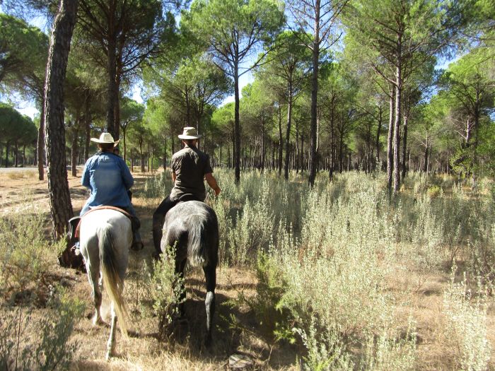 Trail de la Coto de Doñana