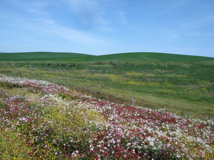 Trail de la Coto de Doñana