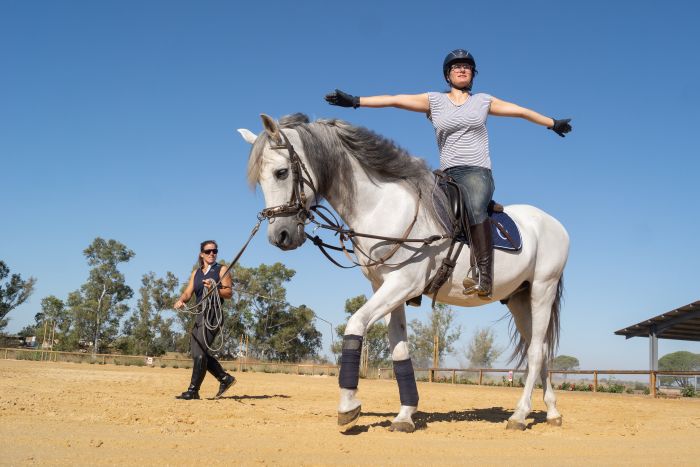 Dressage intensif à Séville