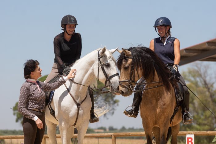 Dressage intensif à Séville