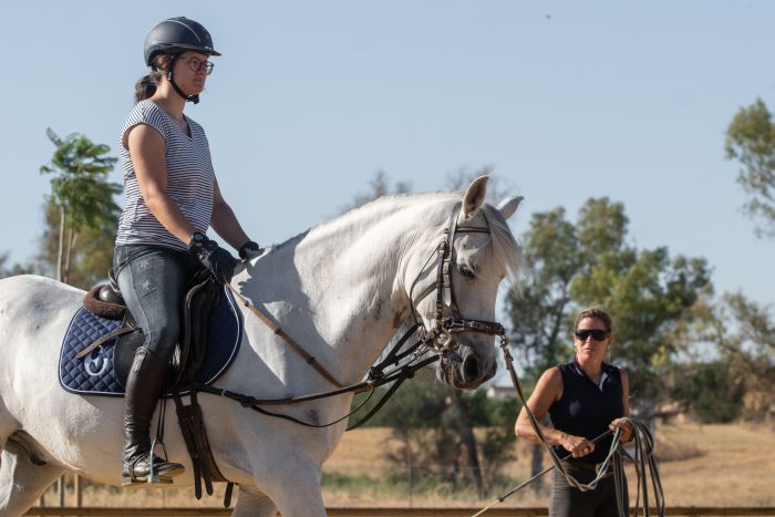 Dressage intensif à Séville