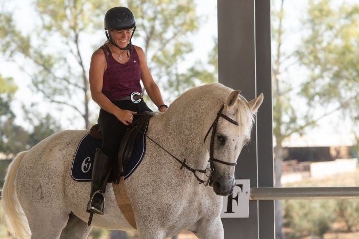 Dressage intensif à Séville