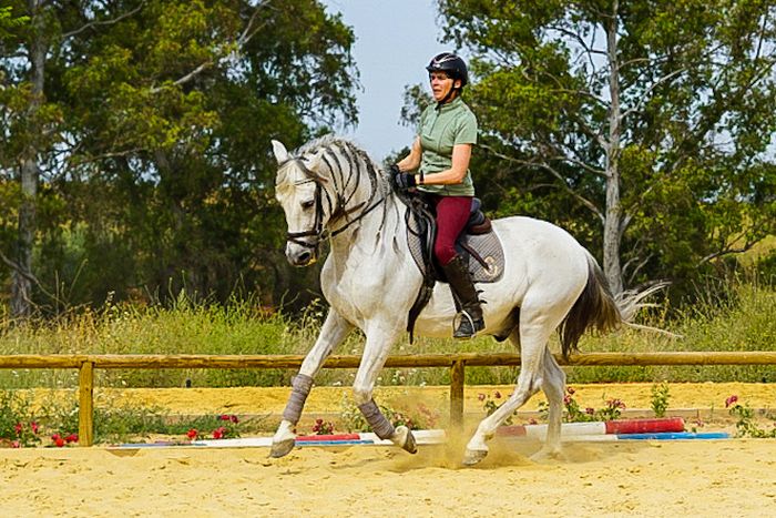 Dressage intensif à Séville