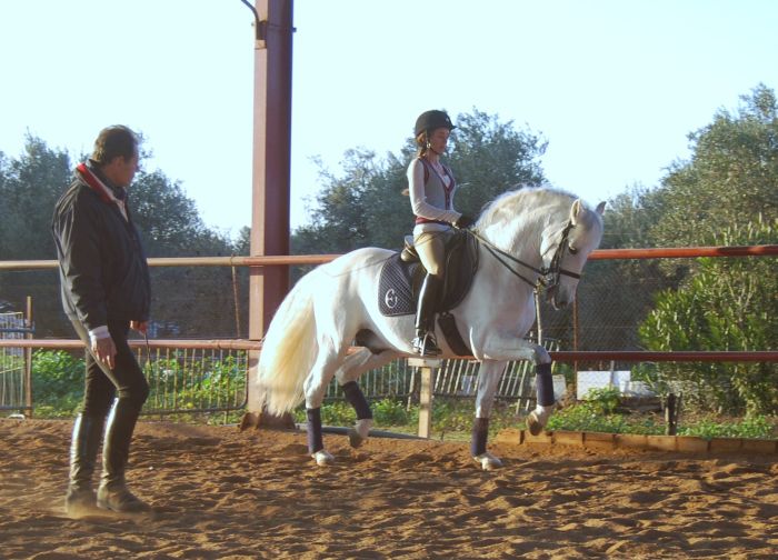 Dressage intensif à Séville