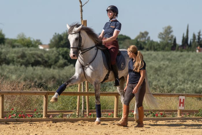 Dressage intensif à Séville