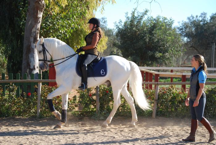 Dressage intensif à Séville