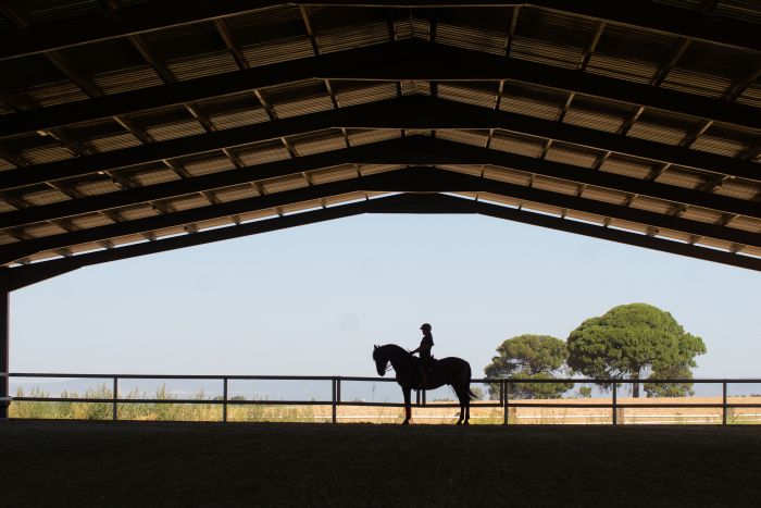 Dressage intensif à Séville