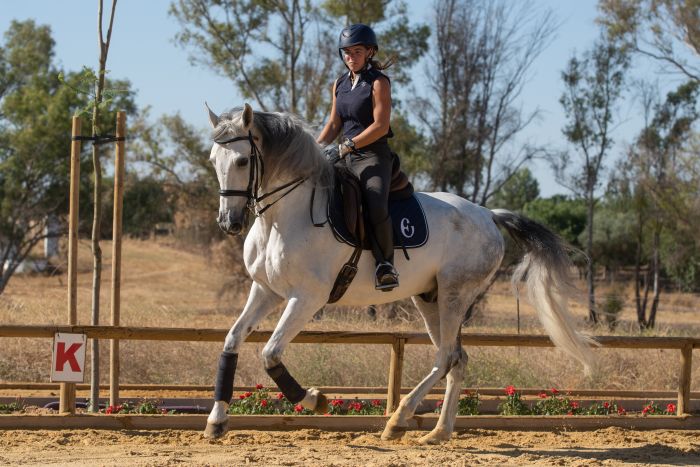 Dressage intensif à Séville