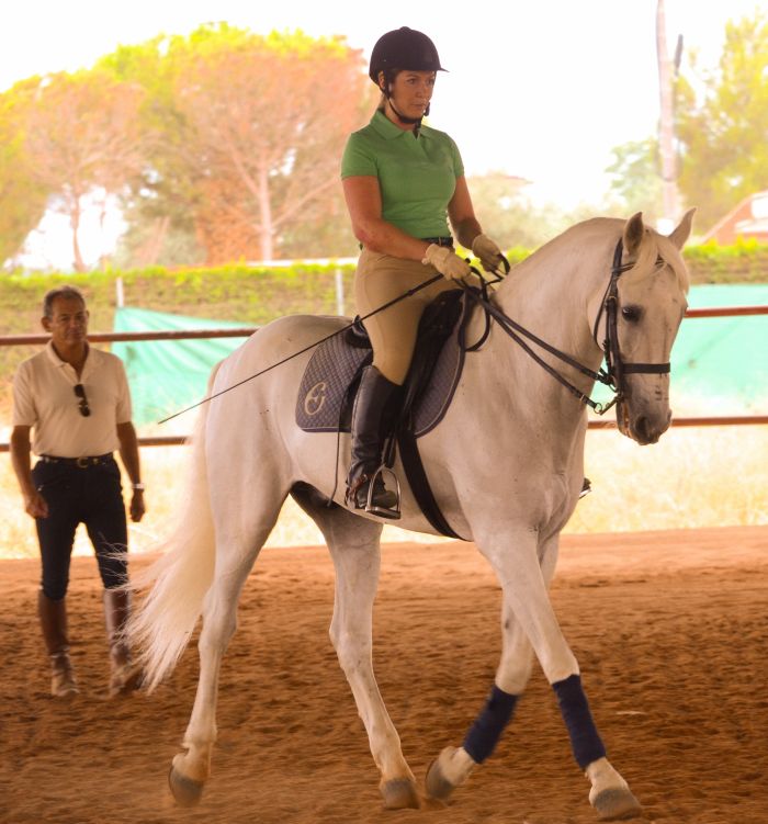 Dressage intensif à Séville