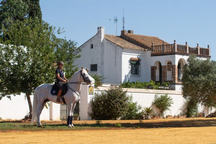 Dressage intensif à Séville