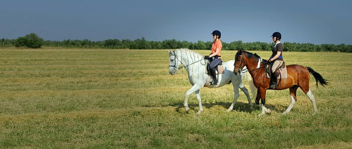 Entraînements & trail à Séville
