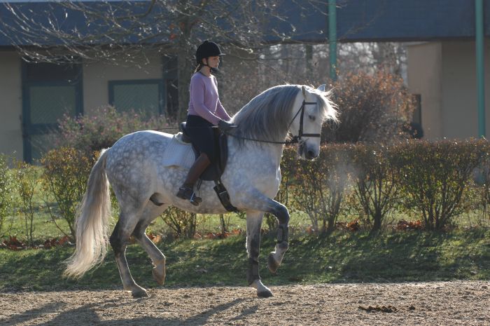 Entraînements & trail à Séville