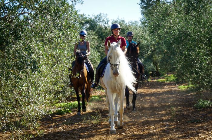 Entraînements & trail à Séville