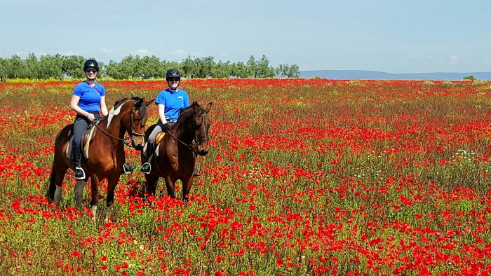 Entraînements & trail à Séville