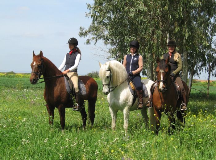 Entraînements & trail à Séville