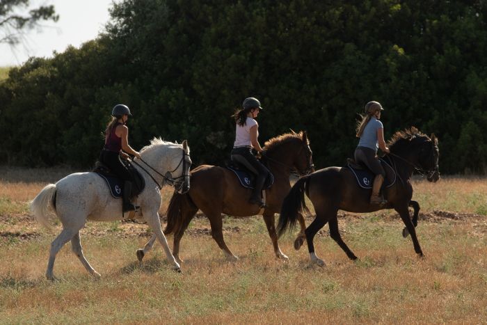 Entraînements & trail à Séville