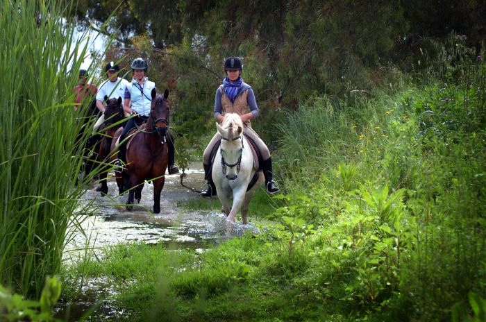 Entraînements & trail à Séville