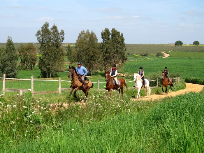 Entraînements & trail à Séville