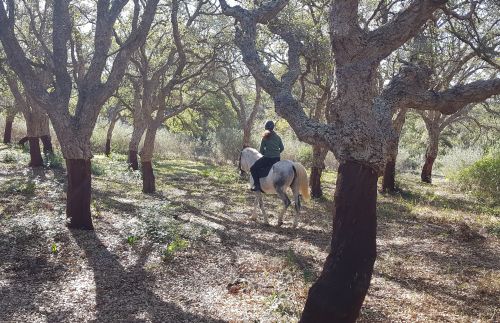 Balade côtière du Campo de Gibraltar (8 jours)