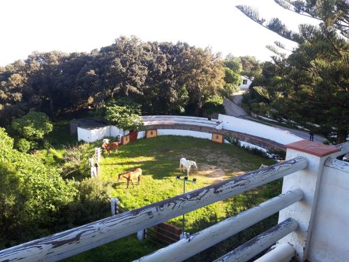 Balade côtière du Campo de Gibraltar (8 jours)