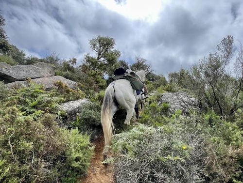 Balade côtière du Campo de Gibraltar (8 jours)