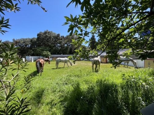 Balade côtière du Campo de Gibraltar (8 jours)