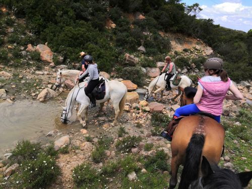 Balade côtière du Campo de Gibraltar (8 jours)
