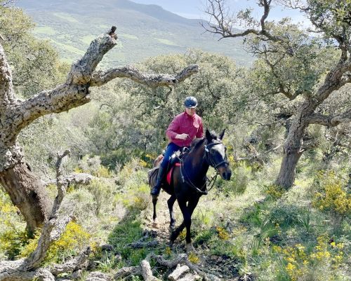 Balade côtière du Campo de Gibraltar (8 jours)