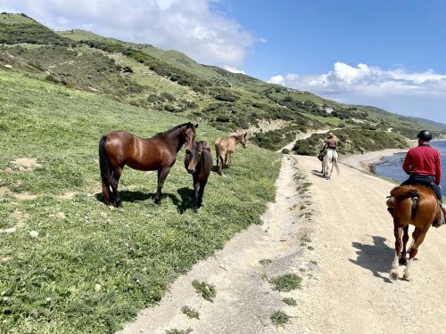 Balade côtière du Campo de Gibraltar (8 jours)