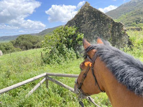 Balade côtière du Campo de Gibraltar (8 jours)