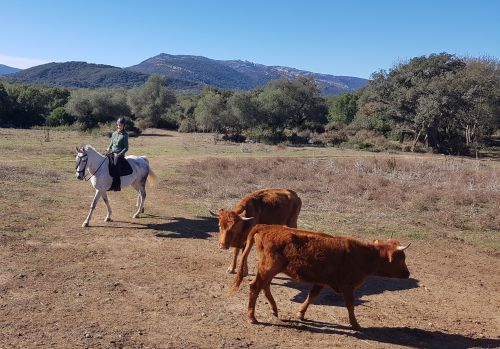 Balade côtière du Campo de Gibraltar (8 jours)