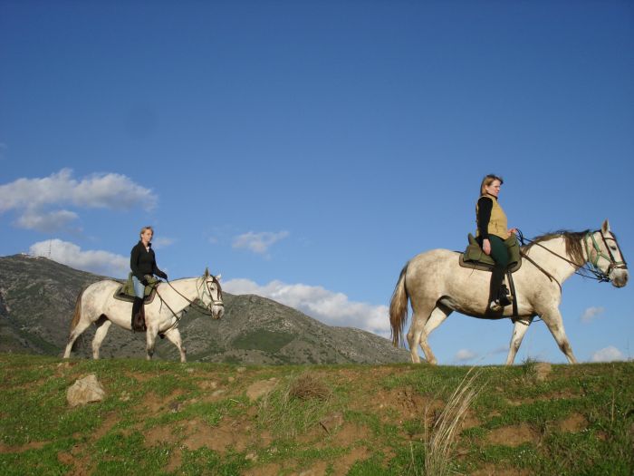 Rancho La Paz - Haras andalou