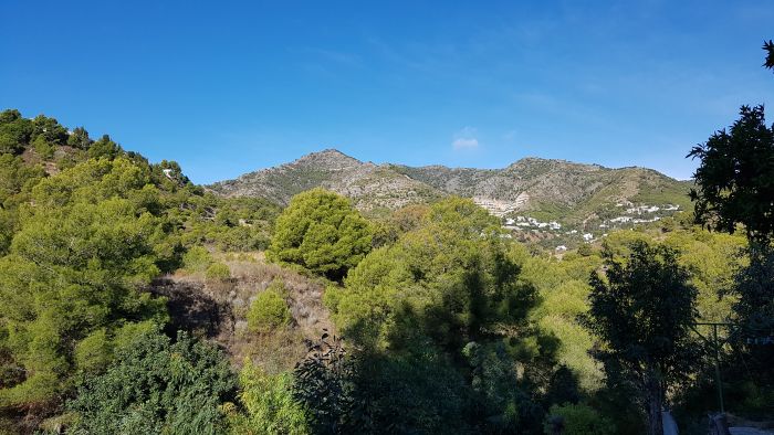 Rancho La Paz - Haras andalou