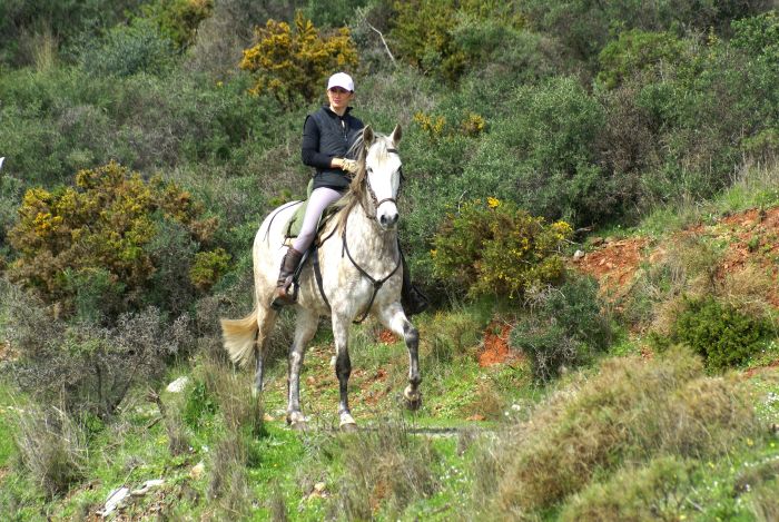 Rancho La Paz - Haras andalou