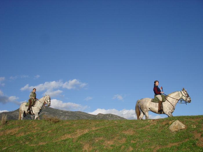 Rancho La Paz - Haras andalou