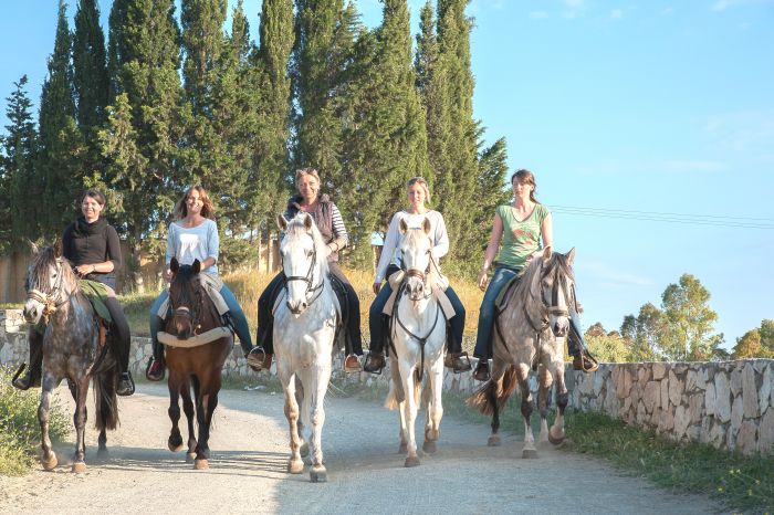 Rancho La Paz - Haras andalou