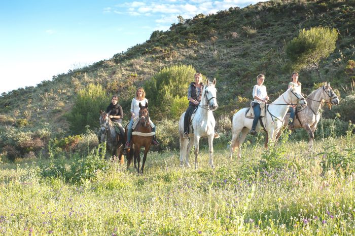 Rancho La Paz - Haras andalou