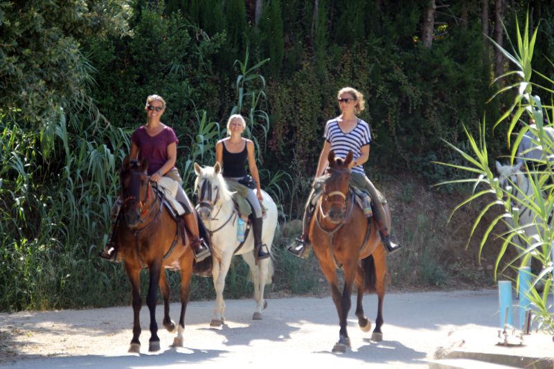 Rancho La Paz - Haras andalou