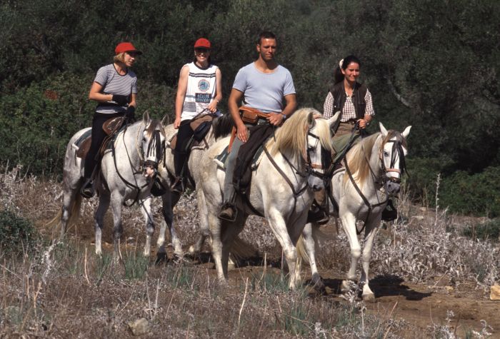 Rancho La Paz - Haras andalou